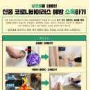 태백시보건소 이미지