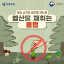 ＜카드뉴스 7호＞ 본인 소유의 토지를 제외한 임산물 채취는 불법! 이미지