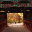 도계동011 이미지