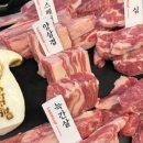 천매자 - 안산시 단원구 | 천매자