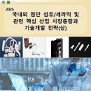 2025 국내외 첨단 섬유/세라믹 및 관련 핵심 산업 시장총람과 기술개발 전략(상) 이미지