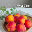 한철농장 | 대구 경산 승주농장 여름 과일 썬프레복숭아 택배구입후기