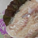 사계절식당 이미지