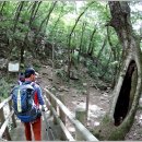 시티은행 앞 이미지