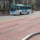 수원-1728 이미지