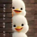 타이어 프로