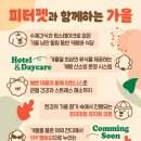 피터펫 논현점 이미지