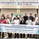 김화농협 이미지