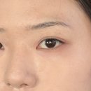 다래인 | 화잘먹 “동구밭 다래 앰플&amp;캡슐 선 앰플” 솔직후기 | 미백앰플 선프렙 끝판왕