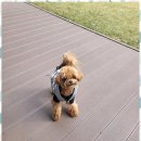 카페051행복