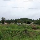 화원초등학교 앞 이미지