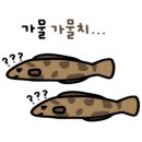슈퍼붕 낚시카페 이미지