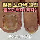 레푸스강남세곡점