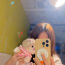 Premium 먼치킨 이미지