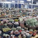 포전2농장 이미지