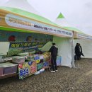 진봉심포드리마을 이미지