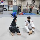 팀매드 이미지