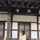 쇼피스(Showpiece) 이미지