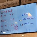 냥이싸롱 이미지