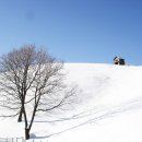항구목장 이미지