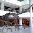 한국자연사박물관 이미지