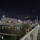 안락교 네이버블로그