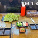 셀프회 | 남양주 다산 ‘일일일식’( 1日1食) 회포차에 돈까스까지 다 되는 만능 식당! 내돈내산