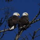 은미약국 이미지