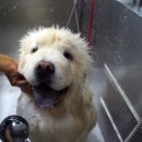 개린이살롱 이미지