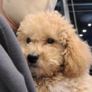 멍냥이 곳간 이미지