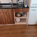 스테이화가 이미지