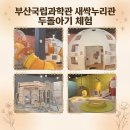 문화누리관 | 부산국립과학관 새싹누리관 27개월 아이와 다녀온 후기｜예약방법, 위치, 놀이시설 총정리