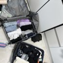 함평군청 2청사 4층 동편 화장실 | 하와이 신혼여행 | 설레는 여행의 시작! 인천공항 대한항공 프레스티지 라운지 후기