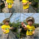 가연농장 이미지