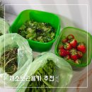 현명한 주부의 고급진 재테크 | 주부필수템! 채소, 과일보관용기 추천, 데비마이어 그린박스 신선함이 달라져요!