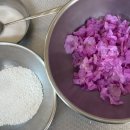 솜솜이네 이미지