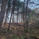 잣나무집정원 | 춘천 방동리 사래울 둘레길 트래킹 후기 🌲