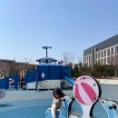 타이거 파라다이스 | ​아이와 함께한 파라다이스시티 그랜드 프리미엄 테라스 객실 &amp; 온더플레이트 디너 블루타이거