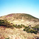 오름 - 포항시 북구 해안로1918번길 37-8 | 오름