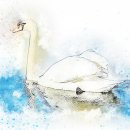 바디핏 요가 이미지