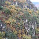 무릉계곡 힐링캠프장 이미지