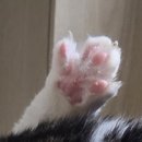 히히 그루밍 이미지