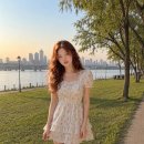 살롱의 정석