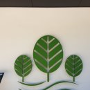 너울숲 | 공주 숲너울 카페 후기｜자연 속 힐링이 있는 공주 감성카페 추천