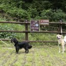 동물치유쉼터 이미지