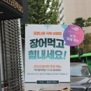 군산오징어 이미지