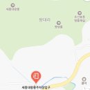 내곡동269 | [여주 💛영녕릉💛] 가족들과 나들이 나가기 좋은 세종대왕 영릉 &amp; 효종왕 영릉 🌿🍁💚