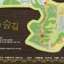 늠내길 1코스 숲길 이미지