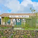 송당 드 | 제주 동쪽 숙소 감성 에어비앤비 제주도 구좌읍 독채 펜션 민박 송당드