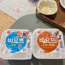 구례 쉼뜰 | 전남 구례 감성 숙소 추천 / 쉼뜰 별채 내돈내산 후기